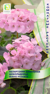 Семена Пеларгония зональная Шоколадница Нежно-розовая, 5 шт