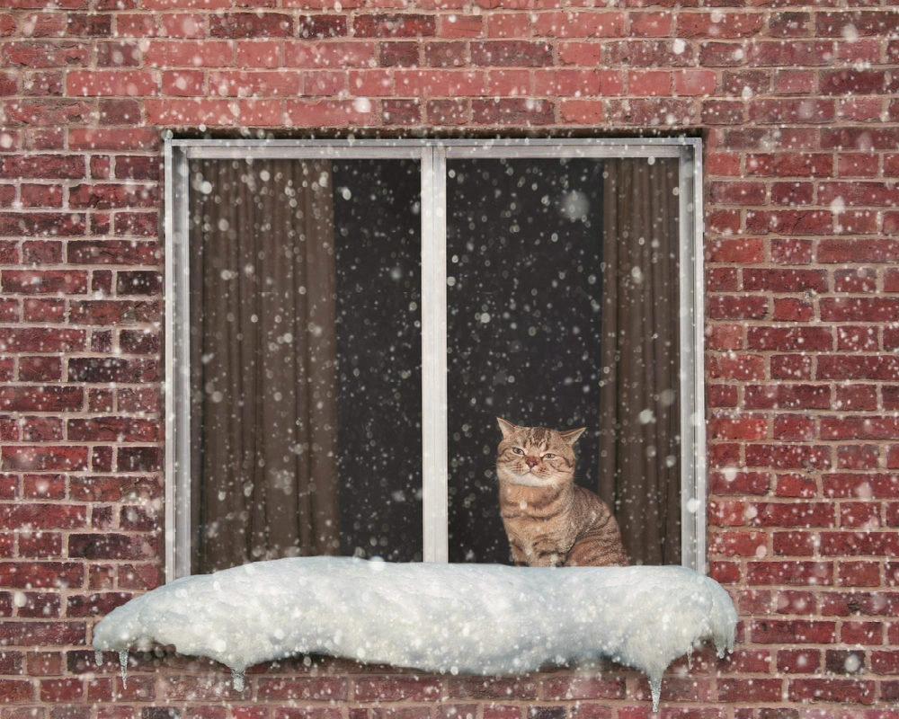 Как утеплить окна на зиму?
