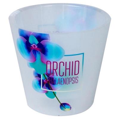 Уход за орхидеями #4