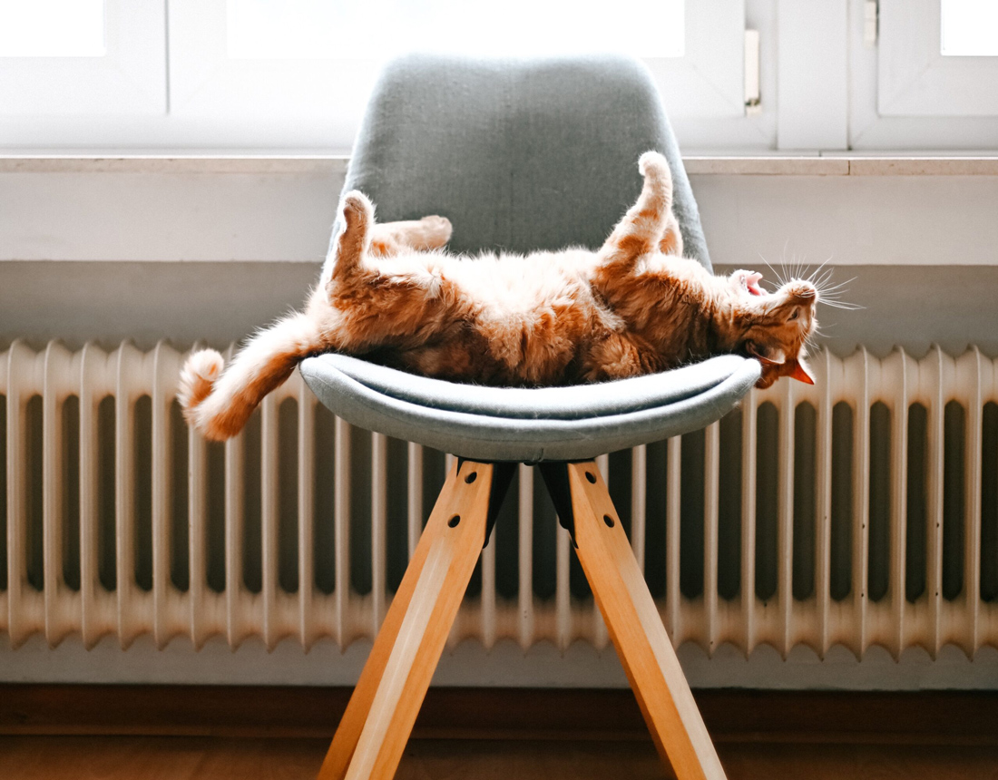 Как правильно установить термоголовку на батарею?