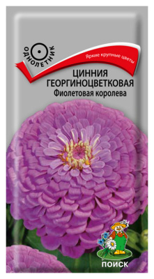Семена Цинния георгиноцветковая Фиолетовая королева, 0,4 гр.