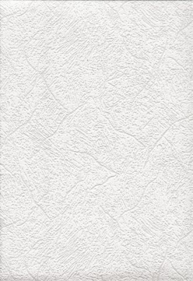 Обои винил на флизелиновой основе HomeColor, 25х1,06 м, 405-01 купить в отделе магазина Экономстрой