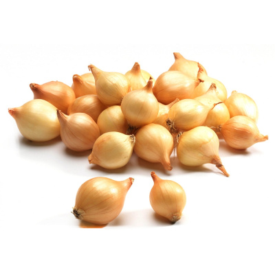 Лук-севок Геркулес, 0,45 кг купить в отделе магазина Экономстрой