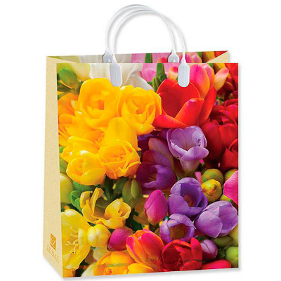 Пакет-сумка Антелла, 26х23х10 см (арт. 0167-155) купить в отделе магазина Экономстрой