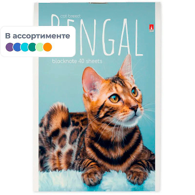 Блокнот на скрепке в ассортименте, Котята, А6, 40 л купить в отделе магазина Экономстрой