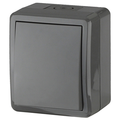 Выключатель 1 клавишный  IP54, 10А 250В, серый, открытой установки, 11-1401-03 ЭРА ЭКСПЕРТ (Б0020670)