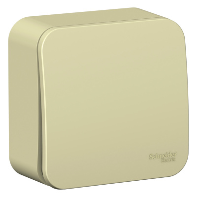 Выключатель Schneider Electric, Blanca, 1 клавишный, открытой установки, бежевый