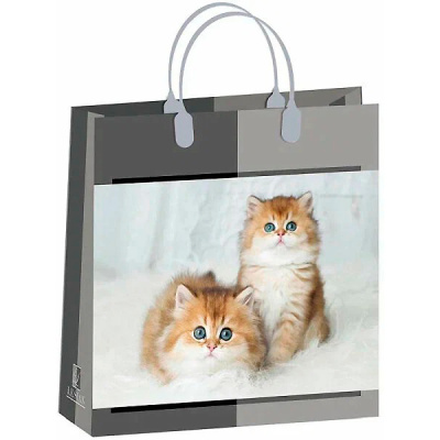 Пакет-сумка Антелла, 30х30х10 см (арт. 0327-151) купить в отделе магазина Экономстрой