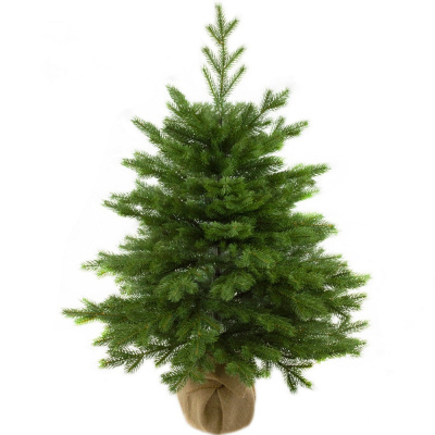 Ель настольная Версальская, РЕ, зеленый, 90 см купить в отделе магазина Экономстрой