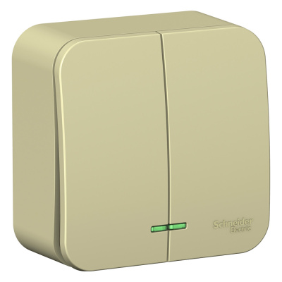 Выключатель Schneider Electric, Blanca, 2 клавишный, открытой установки, с подсветкой, бежевый