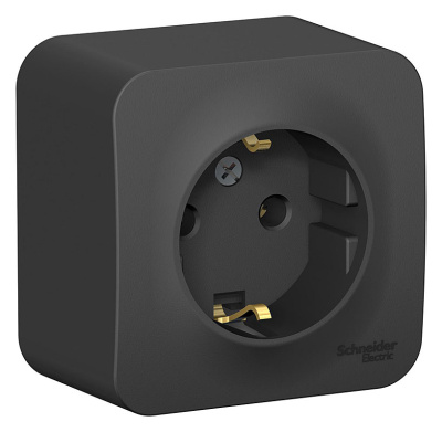 Розетка 1 местная с заземлением открытой установки 16А 250В Антрацит BLANCA Schneider Electric купить в отделе магазина Экономстрой