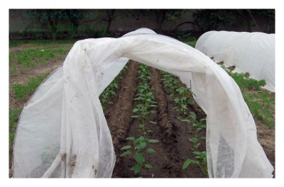 Укрывной материал ПРОФИ-42, ширина 3,2 м, белый (300 п.м рулон) купить в отделе магазина Экономстрой