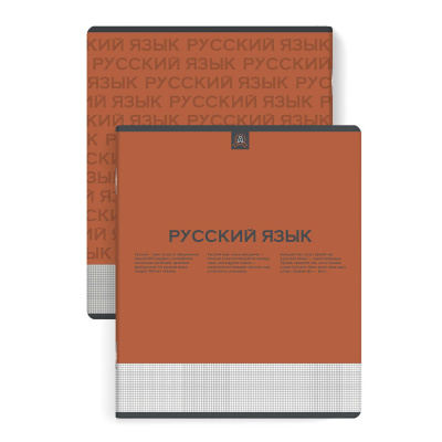 Тетрадь предметная Нескучная классика Русский язык, А5+ (48 листов) купить в отделе магазина Экономстрой