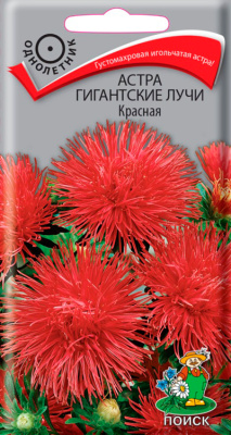 Семена Астра Гигантские лучи Красная, 0,3 гр. купить в отделе магазина Экономстрой