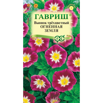 Семена Гавриш Вьюнок Трехцветный Огненная земля, 0,5 гр. купить в отделе магазина Экономстрой