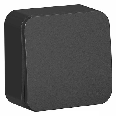 Выключатель 1 клавишный открытой установки Антрацит BLANCA Schneider Electric купить в отделе магазина Экономстрой