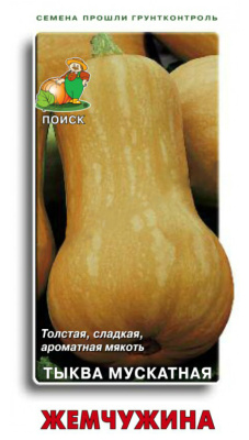 Семена Тыква мускатная Жемчужина, 10 шт