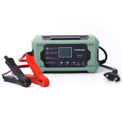 Зарядное устройство импульсное Carline, для свинцово-кислотных аккумуляторов, автоматическое купить в отделе магазина Экономстрой