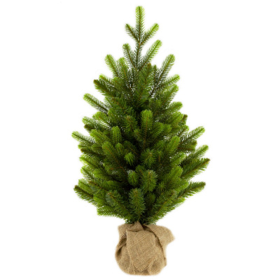 Ель настольная Изумрудная, PVC+РЕ, зеленый, 60 см купить в отделе магазина Экономстрой
