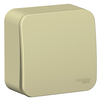 Переключатель Schneider Electric, Blanca, открытой установки, 1 клавишный, бежевый