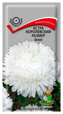 Семена Астра королевский размер Белая, 0,1 гр.