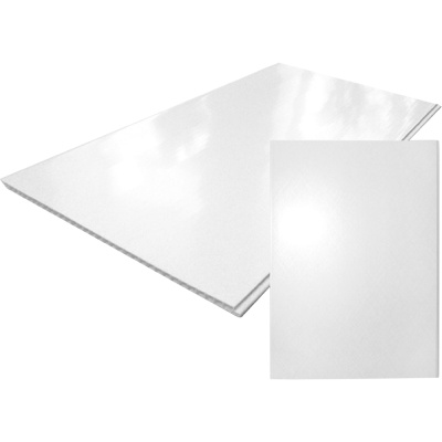 Панель ПВХ, белая глянцевая, 250х8х2700 мм купить в отделе магазина Экономстрой