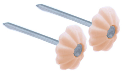 Гвозди декоративные СТРОЙБАТ с светло-коричневой пластмассовой головкой, 1,4х25 мм (80 шт) купить в отделе магазина Экономстрой