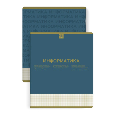 Тетрадь предметная Нескучная классика Информатика, А5+ (48 листов) купить в отделе магазина Экономстрой