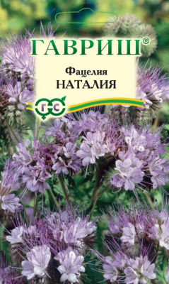 Семена Гавриш Фацелия Наталия, 20 гр.