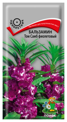 Семена Бальзамин Том Самб фиолетовый, 0,1 гр.