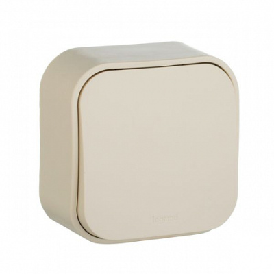 Выключатель 1 клавишный 10A слоновая кость QUTEO