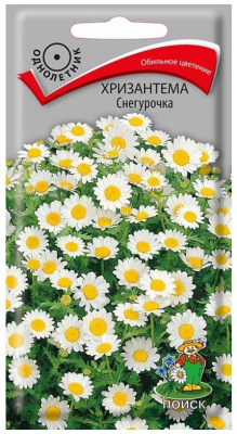 Семена Хризантема Снегурочка, 0,05 гр. купить в отделе магазина Экономстрой