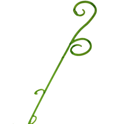 Опора орхидейная, зеленая, 60 см купить в отделе магазина Экономстрой