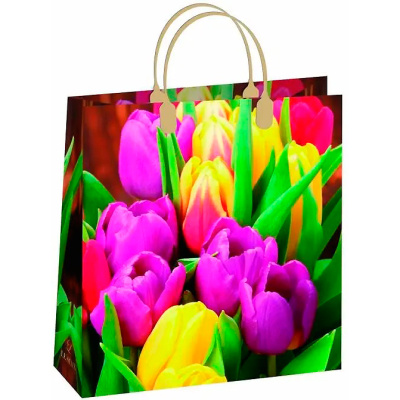 Пакет-сумка Антелла, 26х23х10 см (арт. 0167-131) купить в отделе магазина Экономстрой