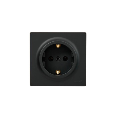 Розетка 1- местная с заземлением Lezard Leto, черная купить в отделе магазина Экономстрой