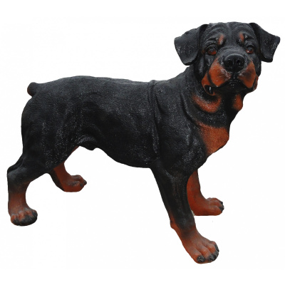 Фигура декоративная Собака Ротвейлер купить в отделе магазина Экономстрой