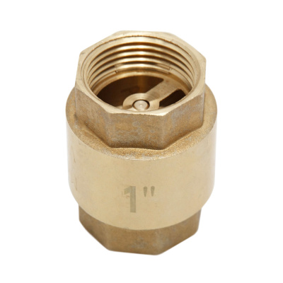 Клапан обратный 1" латунный золотник, MP-У ИС.080373 купить в отделе магазина Экономстрой