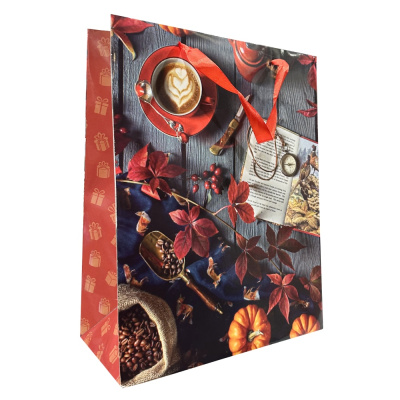 Пакет подарочный бумажный Eurohouse, 26х33х12 см купить в отделе магазина Экономстрой