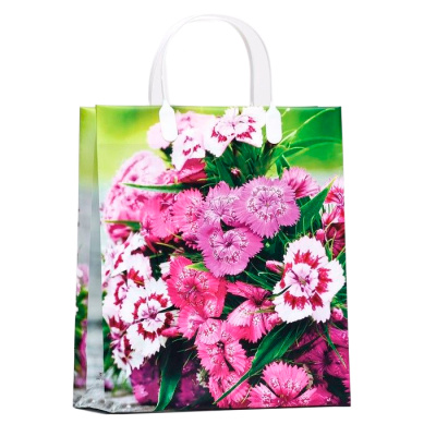 Пакет-сумка Антелла, 26х23х10 см (арт. 0167-127) купить в отделе магазина Экономстрой