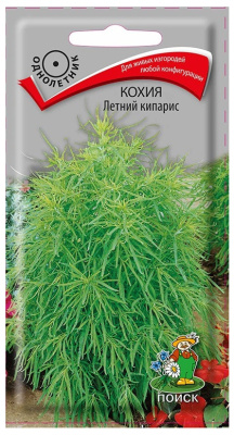 Семена Кохия Летний кипарис, 0,2 гр. купить в отделе магазина Экономстрой