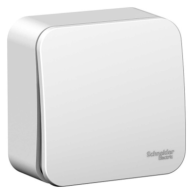 Выключатель 1 клавишный открытой установки Белый BLANCA Schneider Electric