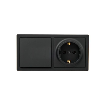 Выключатель 1- клавишный и розетка 1- местная Lezard Leto с заземлением, черный купить в отделе магазина Экономстрой