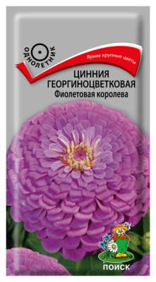 Семена Цинния георгиноцветковая Фиолетовая королева, 0,4 гр. купить в отделе магазина Экономстрой