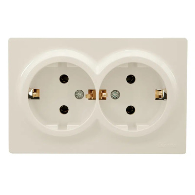 Розетка 2- местная с заземлением Lezard Leto, белый купить в отделе магазина Экономстрой