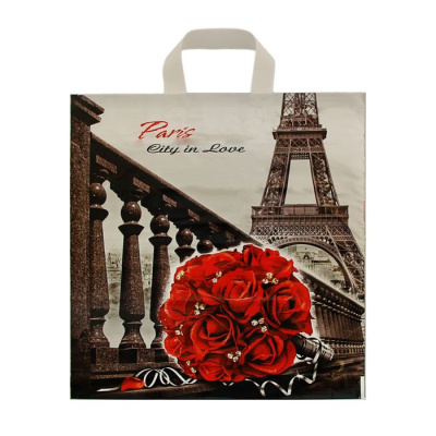 Пакет подарочный с ручкой Город любви, 40х42 см, ПЭ, 45 мкм купить в отделе магазина Экономстрой
