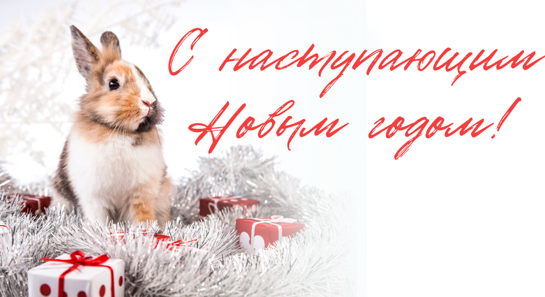График работы на новогодние праздники 2023