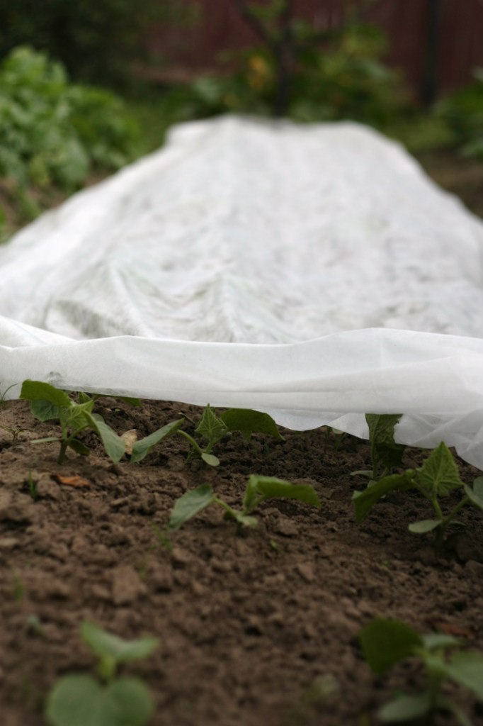 Укрывной материал ПРОФИ-30, ширина 3,2 м, белый (300 п.м рулон) купить в отделе Укрывные материалы  магазина Экономстрой