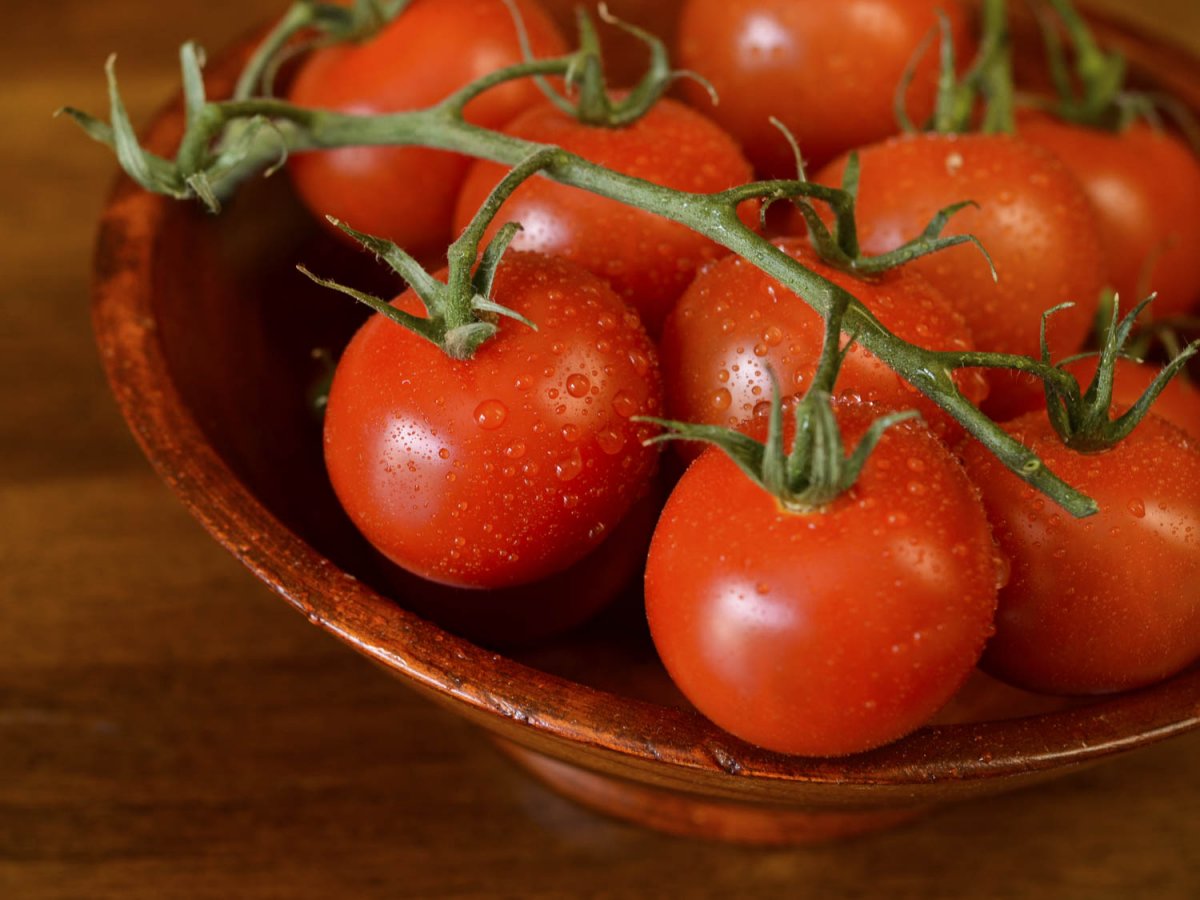 Как правильно сажать томаты?