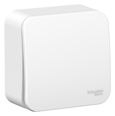 Переключатель Schneider Electric, Blanca, открытой установки, 1 клавишный, белый