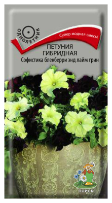 Семена Петуния гибридная Софистика Блекберии энд Лайм Грин, 5 шт купить в отделе магазина Экономстрой